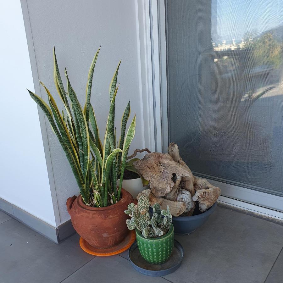 Latchi Ithaki, 2 Bedroom Penthouse Extérieur photo